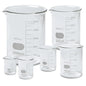 Glass Beakers Kit Set of 5 Beakers